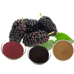 Mulberry Extract Supplier - 5%-25% Anthocyanidin Powder