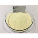 Pineapple Extract Manufacturer - Natural Fruit Powder Light