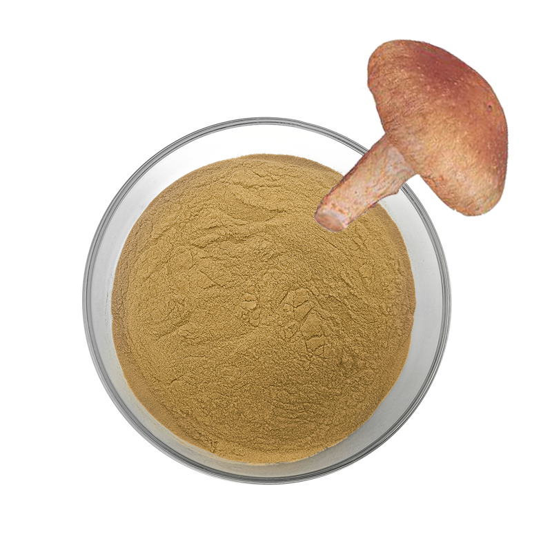 Shiitake Extract Factory - 1%-50% Polysaccharides Glucan