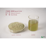 Spinach Powder Supplier - Organic Green Vegetable Extract