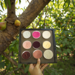 Fruit Juice Powder Manufacturer - Freeze Drying Bottle Drum Container