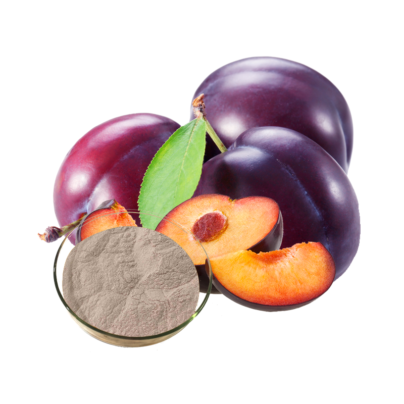 Prune Fruit Powder Supplier - Natural Supplement Dried Fruit