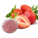 Strawberry Powder Manufacturer - Organic Anthocyanin Wild Available
