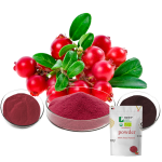 Cranberry Extract Manufacturer - PAC 5%-60% Proanthocyanidins