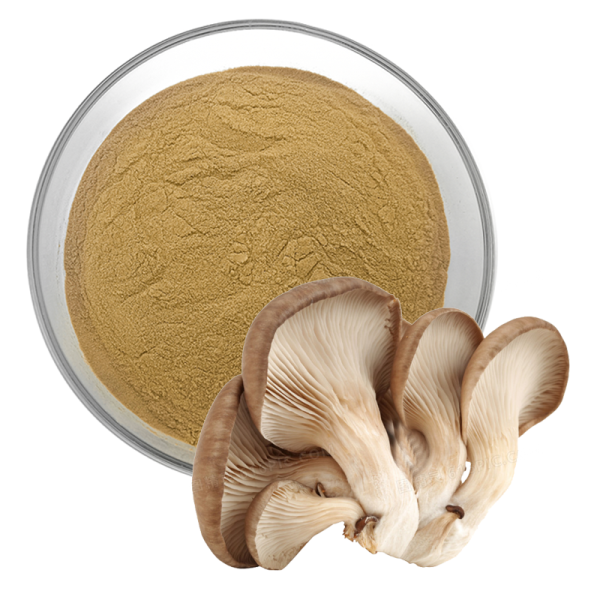 Oyster Mushroom Extract Supplier - Organic Pleurotus Ostreatus Powder
