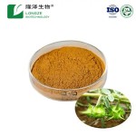Tribulus Extract Factory - 40%-90% Saponins Herbal Powder