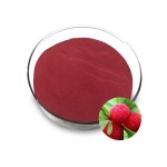 Berry Juice Powder Supplier - Bottle Drum Glass Vacuum Packed