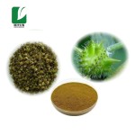 Tribulus Extract Factory - 40%-90% Saponins Herbal Powder