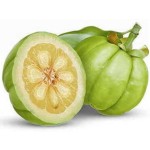 Garcinia Cambogia Extract Supplier - HCA Weight Loss Plant