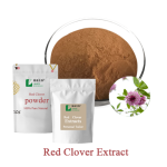 Echinacea Extract Supplier - 4% 10% Polyphenols Flower