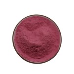 Aronia Extract Manufacturer - Chokeberry Powder Wild Grown