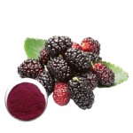 Berry Juice Powder Supplier - Bottle Drum Glass Vacuum Packed