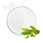 Green Tea Extract Factory - EGCG Powder Food Grade