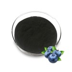 Blueberry Extract Supplier - 5%-40% Anthocyanin Supplement