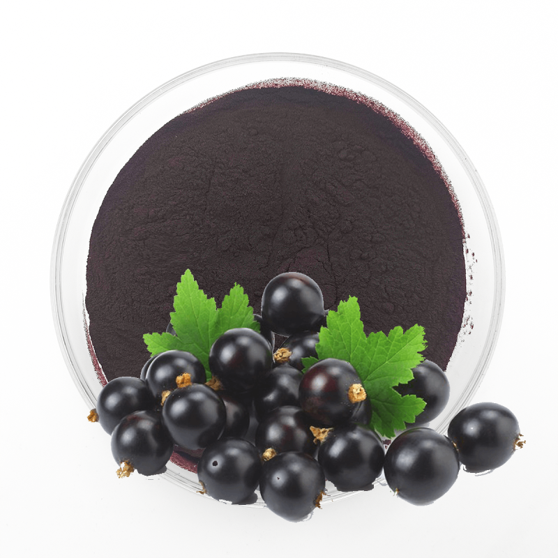 Black Currant Extract Manufacturer - 5%-35% Anthocyanin Powder