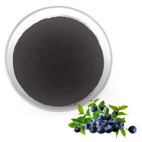 Bilberry Extract Manufacturer - 1%-25% Anthocyanidin Bog