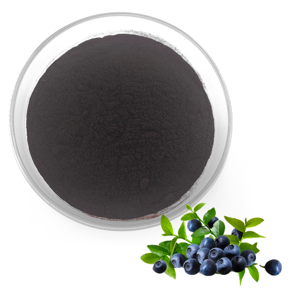 Bilberry Extract Manufacturer - 1%-25% Anthocyanidin Bog