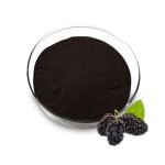 Mulberry Extract Supplier - 5%-25% Anthocyanidin Powder