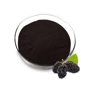 Mulberry Extract Supplier - 5%-25% Anthocyanidin Powder