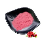 Berry Juice Powder Supplier - Bottle Drum Glass Vacuum Packed