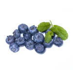 Blueberry Powder Manufacturer - Food Grade Extract Powder Bulk