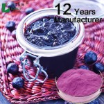 Black Currant Powder Factory - Organic Solvent Extracted Halal