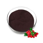 Cranberry Extract Manufacturer - 5-60% Proanthocyanidin Fruit