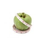 Garcinia Extract Manufacturer - 50% HCA Natural Fitness