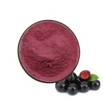 Aronia Extract Manufacturer - Chokeberry Powder Wild Grown