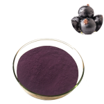 Black Currant Powder Factory - Organic Solvent Extracted Halal