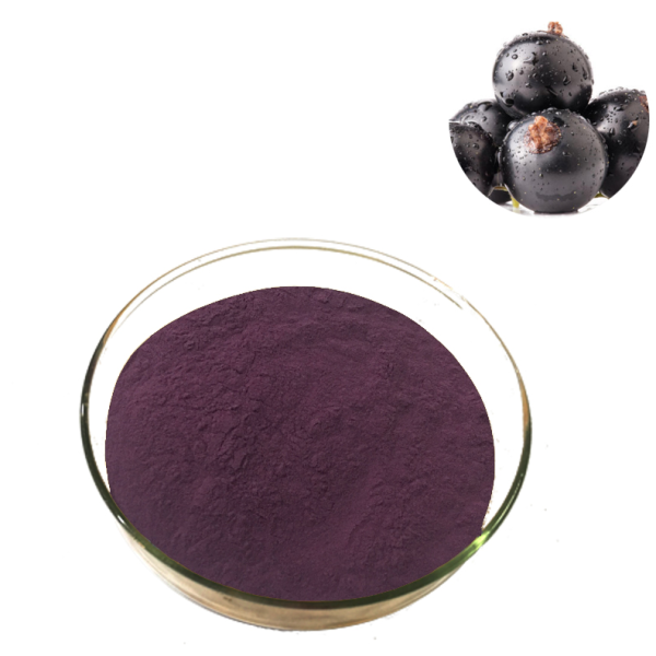 Black Currant Powder Factory - Organic Solvent Extracted Halal