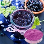 Black Currant Powder Factory - Organic Solvent Extracted Halal