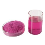 Dragon Fruit Powder Manufacturer - Freeze Dried Red White Capsules