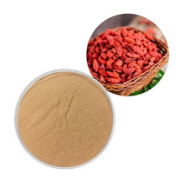 Goji Berry Extract Manufacturer - Red Wolfberry Powder GMP