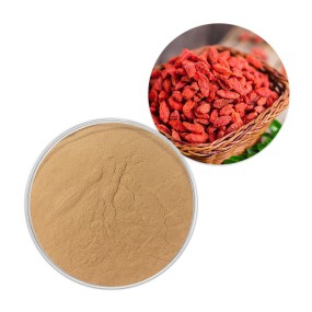 Goji Berry Extract Manufacturer - Red Wolfberry Powder GMP