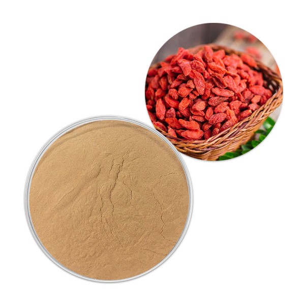 Goji Berry Extract Manufacturer - Red Wolfberry Powder GMP