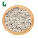 Deer Antler Extract Supplier - 4:1 10:1 20:1 Velvet Powder