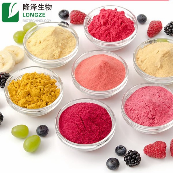 Fruit Extract Powder Supplier - CGMP Standard Bulk Instant Juice