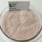 Prune Fruit Powder Supplier - Natural Supplement Dried Fruit