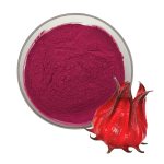 Hibiscus Extract Factory - Anthocyanidins Roselle Powder