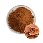 Reishi Extract Manufacturer - 10:1 1%-60% Mushroom Extract