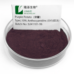 Purple Sweet Potato Extract Manufacturer - 5%-25% Anthocyanidin
