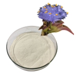 Cyanotis Extract Supplier - 50%-98% Beta Ecdysterone Powder