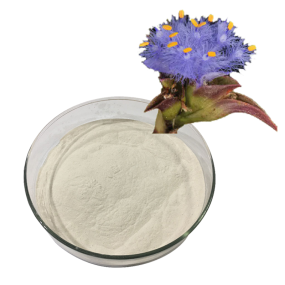 Cyanotis Extract Supplier - 50%-98% Beta Ecdysterone Powder
