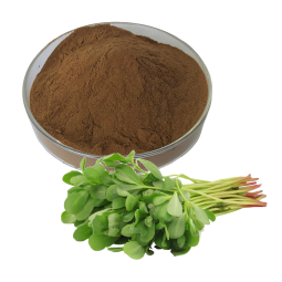 Bacopa Extract Supplier - 50% Bacopasides Monnieri Powder