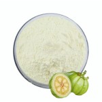 Garcinia Cambogia Powder Factory - Extract Capsule HCA