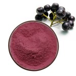Aronia Extract Manufacturer - Chokeberry Powder Wild Grown
