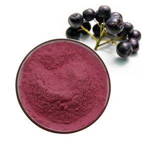 Aronia Extract Manufacturer - Chokeberry Powder Wild Grown