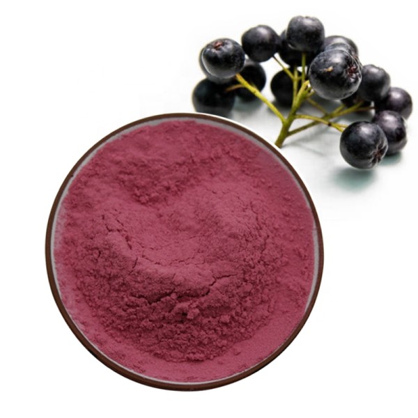 Aronia Extract Manufacturer - Chokeberry Powder Wild Grown