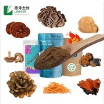 Mushroom Powder Manufacturer - Customized Agaricus Chaga Blend